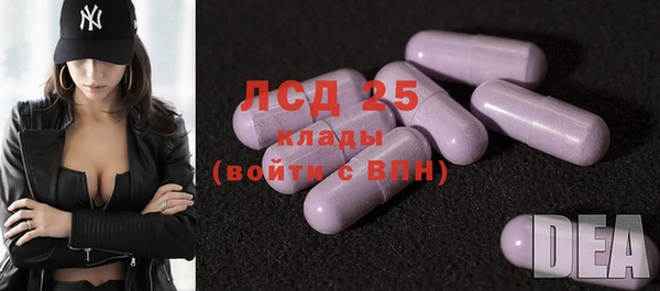крисы Богородицк