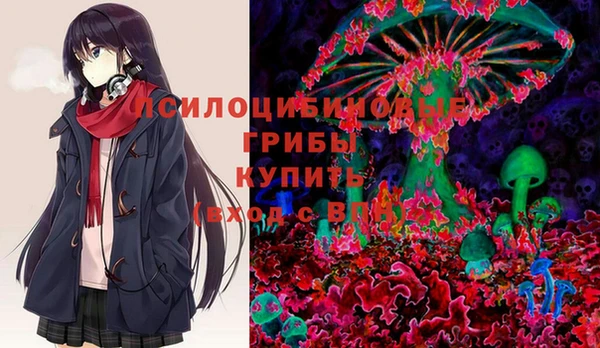 герыч Богородск