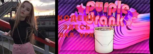 крисы Богородицк